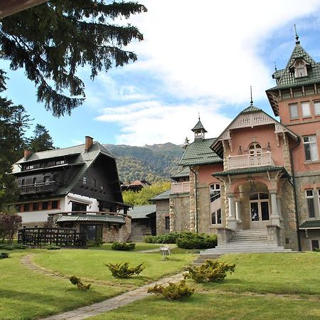 Vilele Lucia Luxury Mens Sana Sinaia Dış mekan fotoğraf