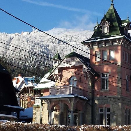 Vilele Lucia Luxury Mens Sana Sinaia Dış mekan fotoğraf